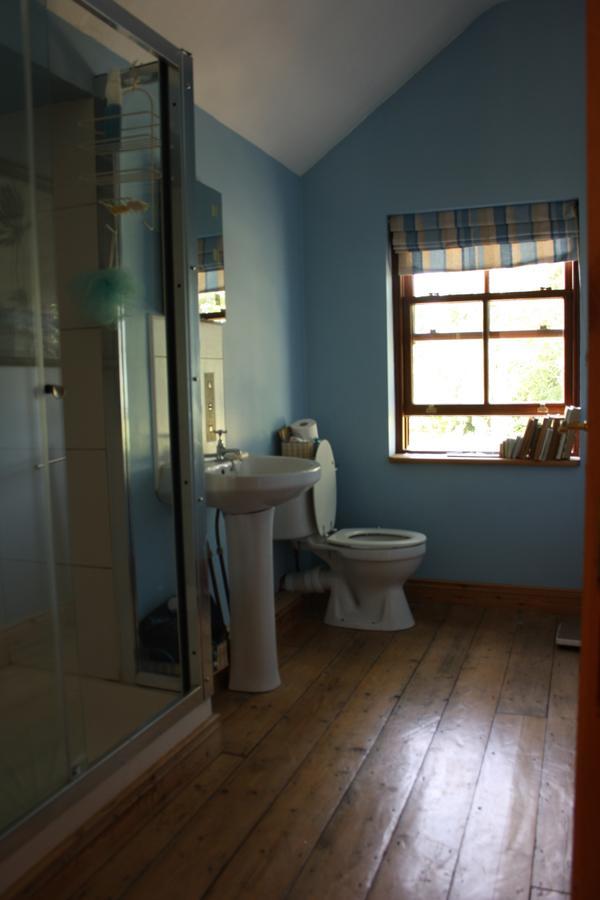 Oldfarm Villa Nenagh Ngoại thất bức ảnh